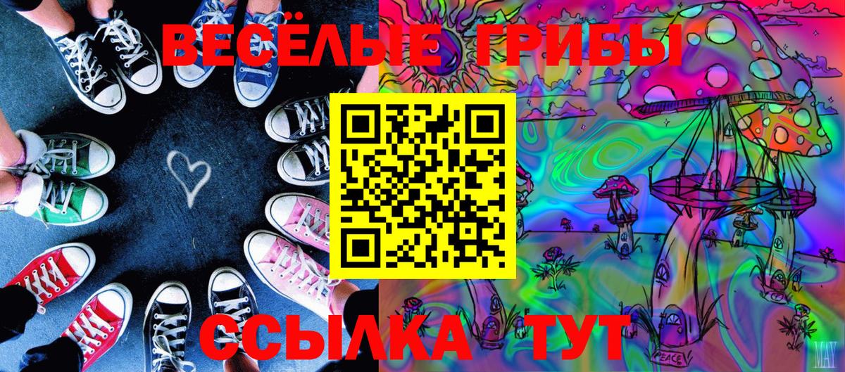 купить закладку  Галлюциногенные грибы MAGIC MUSHROOMS  Вход с VPN  Семилуки  Галлюциногенные грибы Psilocybine cubensis 
